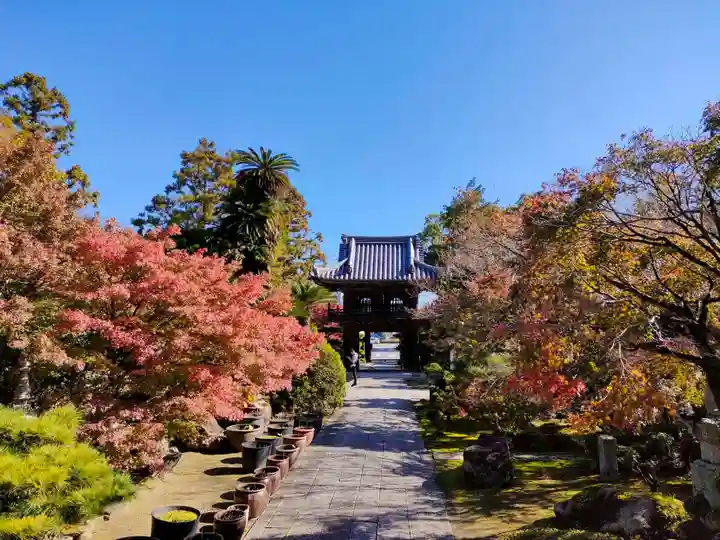 伊勢の国 四天王寺の山門・神門
