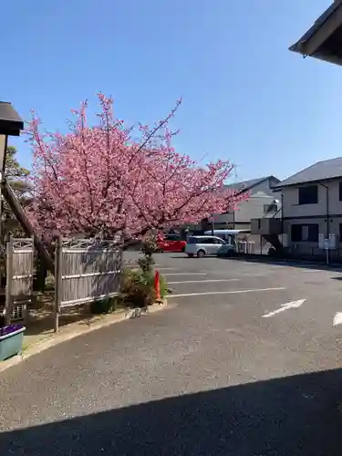 善福寺(神奈川県)