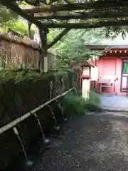 富士山本宮浅間大社の手水