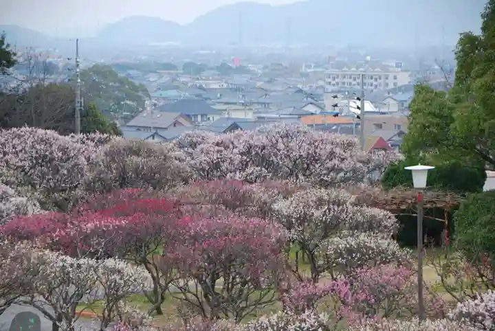 防府天満宮(山口県)