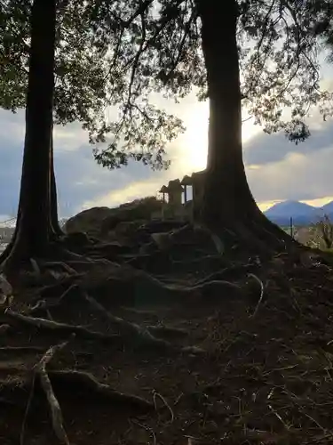 琴平神社(栃木県)