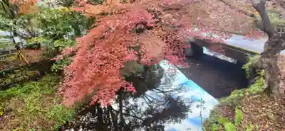 青麻神社の周辺