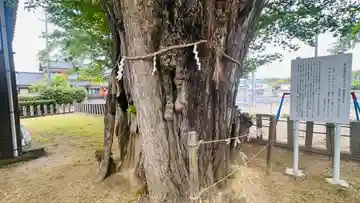 金山彦神社(福井県)