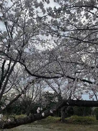 貴船神社の自然