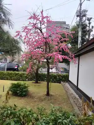 宝勝山　南藏院   蓮光寺の山門・神門