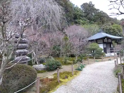 龍安寺(京都府)