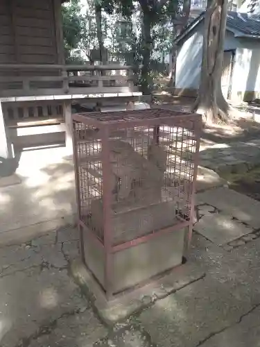 熊野神社(東京都)