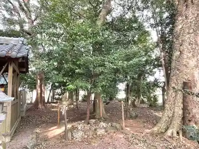 若之神社(三重県)