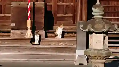 西宮恵比寿神社(静岡県)