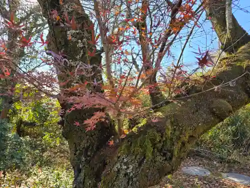 龍泉寺(大阪府)