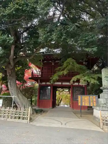 本土寺(千葉県)