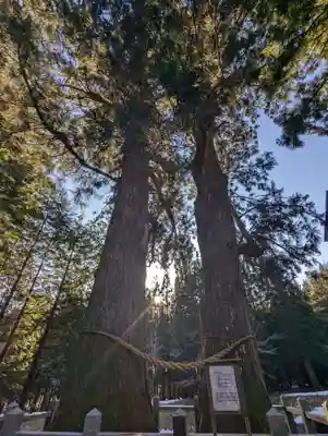 岩手山神社(岩手県)