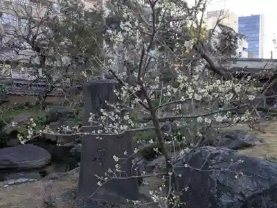 湯島天満宮(東京都)