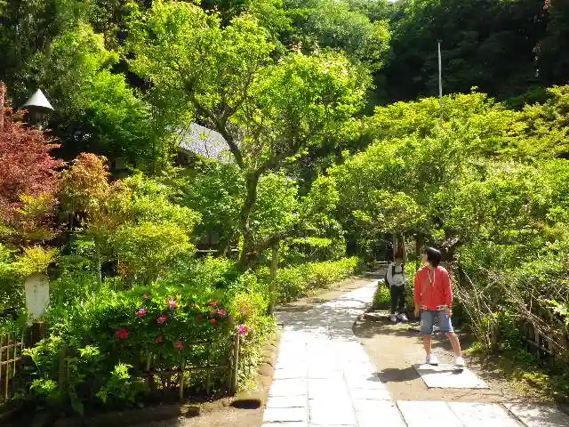 黄梅院(円覚寺塔頭)の庭園