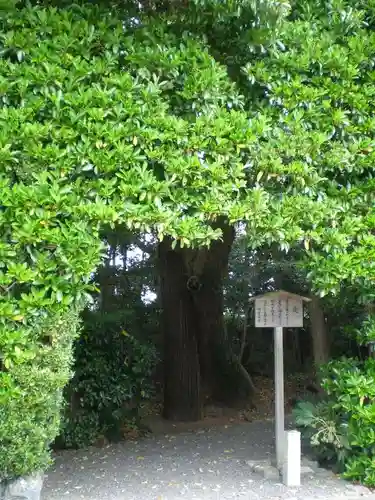 国津御祖神社（皇大神宮摂社）・葦立氐神社（皇大神宮末社）の歴史