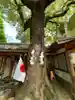 若一神社の自然