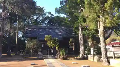川津来宮神社の本殿・本堂