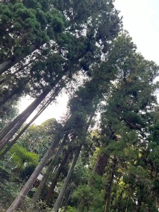 大宮温泉神社(栃木県)