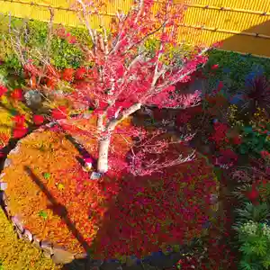 寿量山 速成寺(奈良県)(2023年12月19日(火) 20時46分25秒投稿)