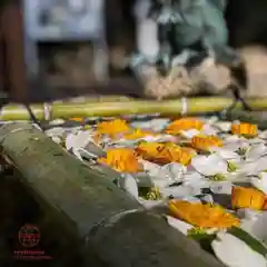 立志神社(滋賀県)