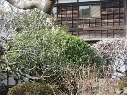 極楽寺（霊鷲山感應院極楽律寺）の自然