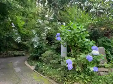 法眼寺(千葉県)