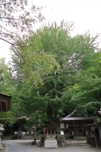 正法寺(滋賀県)