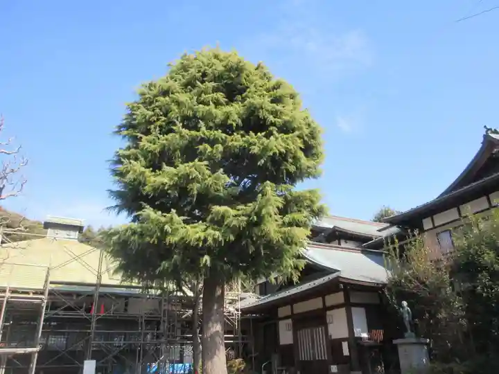 蓮勝寺(神奈川県)