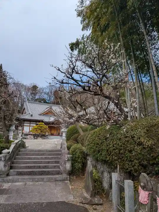 龍散寺(神奈川県)