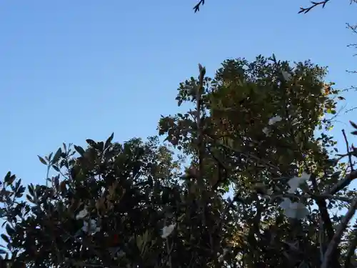 屋久島大社(鹿児島県)