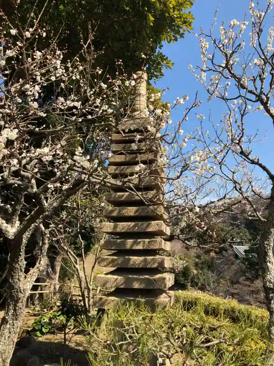 龍隠庵(神奈川県)