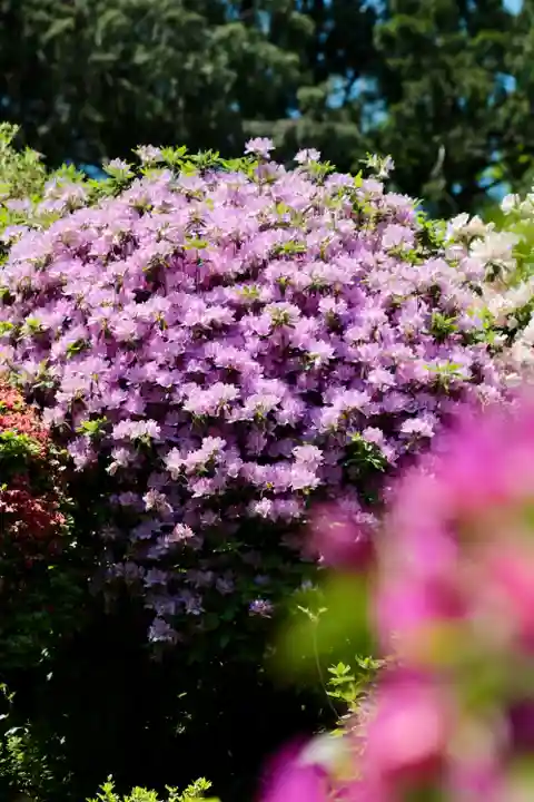 塩船観音寺(東京都)