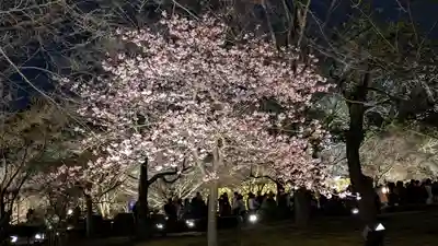 東寺（教王護国寺）(京都府)