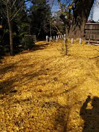 芝東照宮のその他建物
