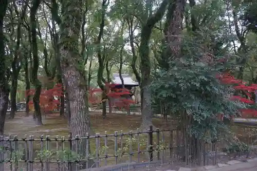 聖福寺の建物その他