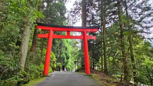 箱根神社(神奈川県)