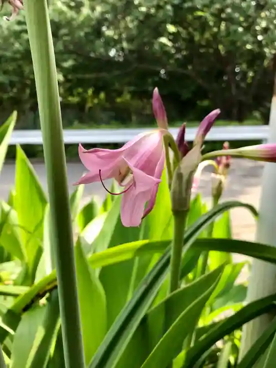 検見川神社の自然