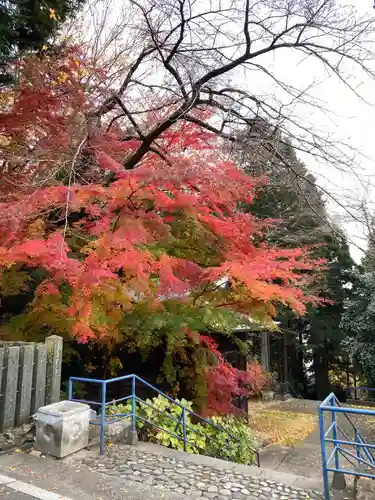 仙台東照宮の自然