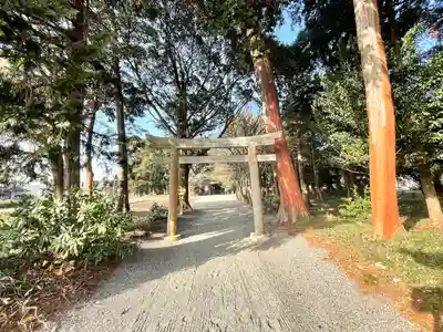 川田神社(滋賀県)