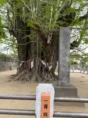 葛飾八幡宮(千葉県)