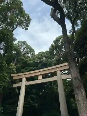 明治神宮(東京都)