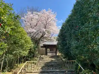 白毫寺(奈良県)