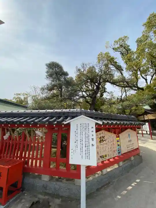 筥崎宮(福岡県)