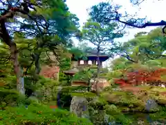 慈照寺（慈照禅寺・銀閣寺）(京都府)