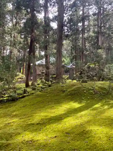 平泉寺白山神社(福井県)