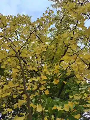 厚別神社(北海道)