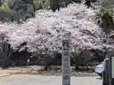 mmさんのプロフィール画像