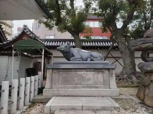 大阪天満宮の狛犬