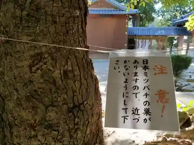 御坂神社のその他建物