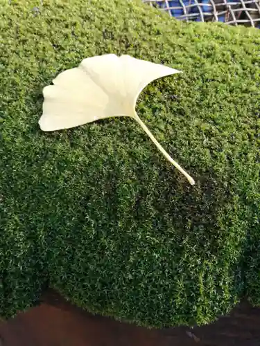 野木神社の自然